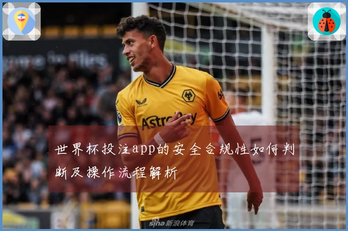 世界杯投注app的安全合规性如何判断及操作流程解析