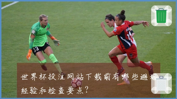 世界杯投注网站下载前有哪些避坑经验和检查要点？