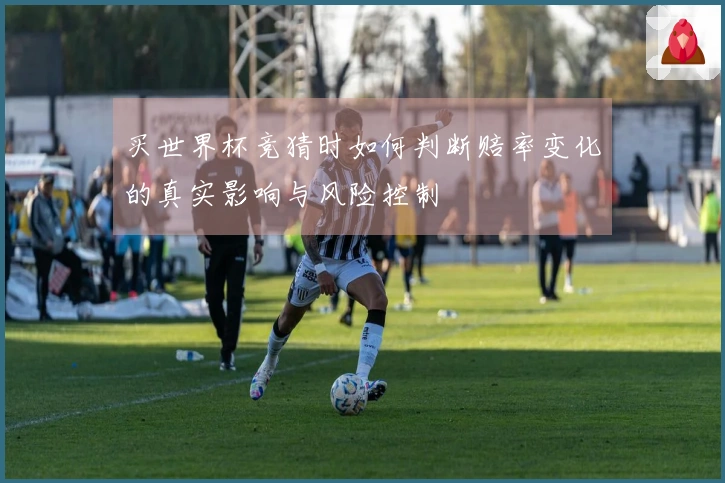 买世界杯竞猜时如何判断赔率变化的真实影响与风险控制