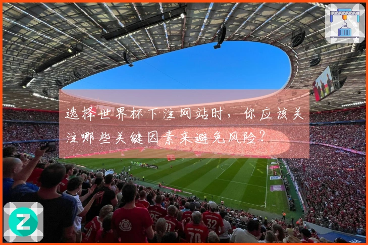 选择世界杯下注网站时，你应该关注哪些关键因素来避免风险？