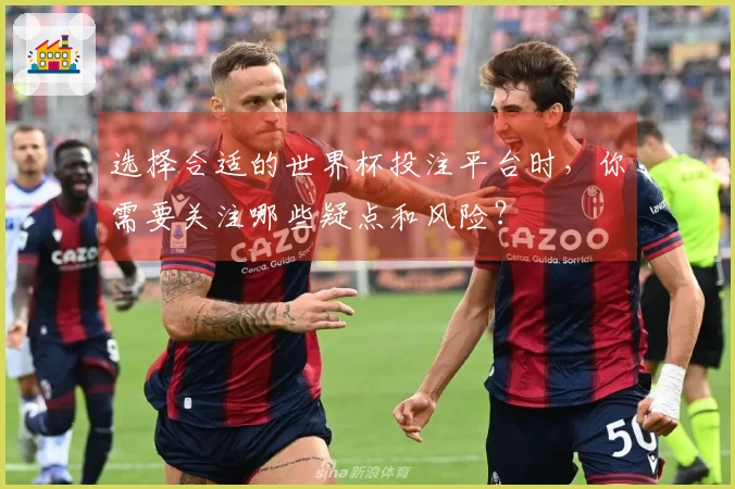选择合适的世界杯投注平台时，你需要关注哪些疑点和风险？