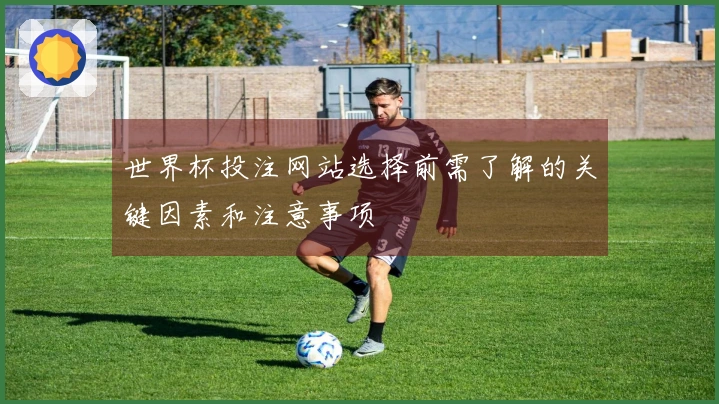 世界杯投注网站选择前需了解的关键因素和注意事项