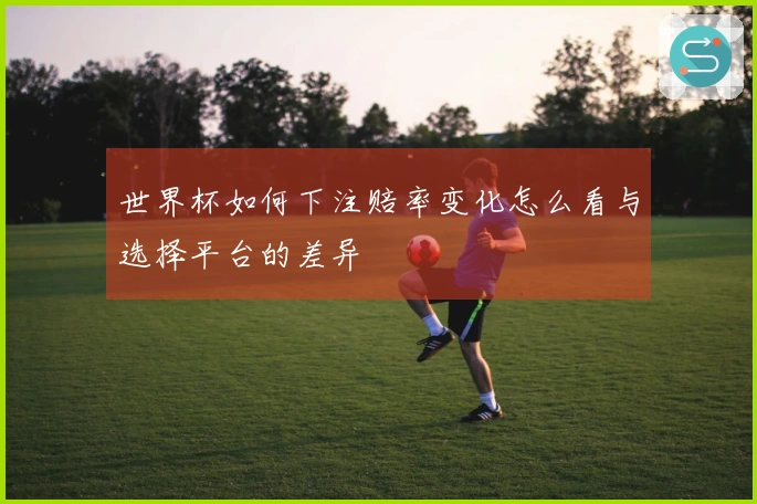 世界杯如何下注赔率变化怎么看与选择平台的差异