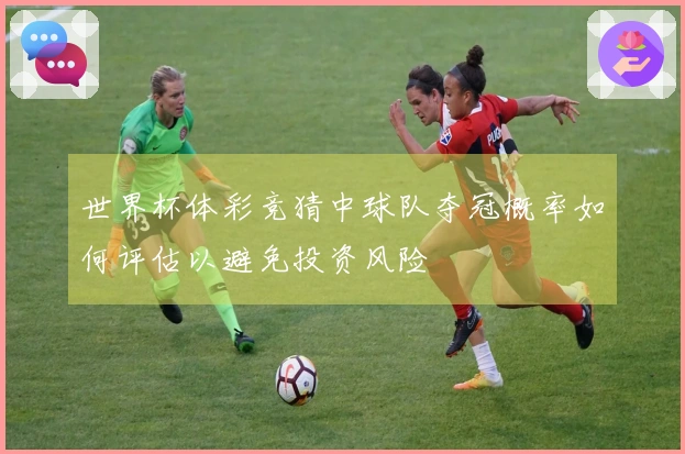 世界杯体彩竞猜中球队夺冠概率如何评估以避免投资风险