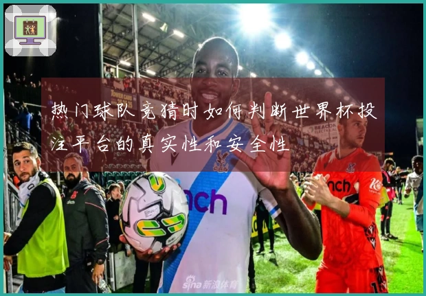 热门球队竞猜时如何判断世界杯投注平台的真实性和安全性