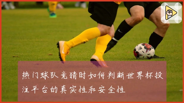热门球队竞猜时如何判断世界杯投注平台的真实性和安全性