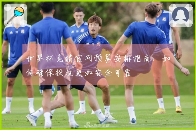 世界杯竞猜官网预算安排指南，如何确保投注更加安全可靠