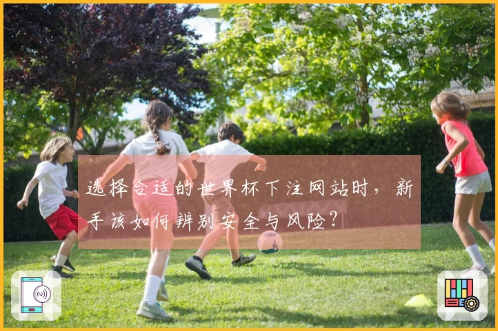 选择合适的世界杯下注网站时，新手该如何辨别安全与风险？