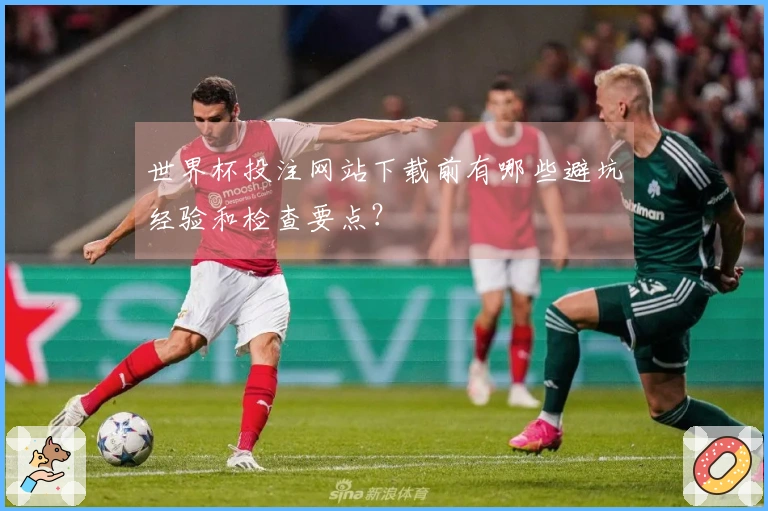 世界杯投注网站下载前有哪些避坑经验和检查要点？