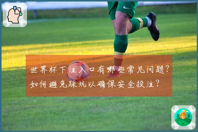 世界杯下注入口有哪些常见问题？如何避免踩坑以确保安全投注？
