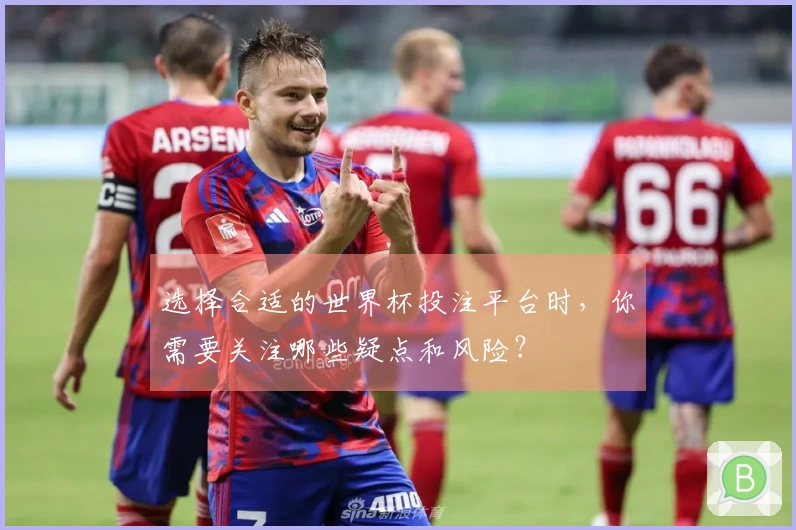 选择合适的世界杯投注平台时，你需要关注哪些疑点和风险？