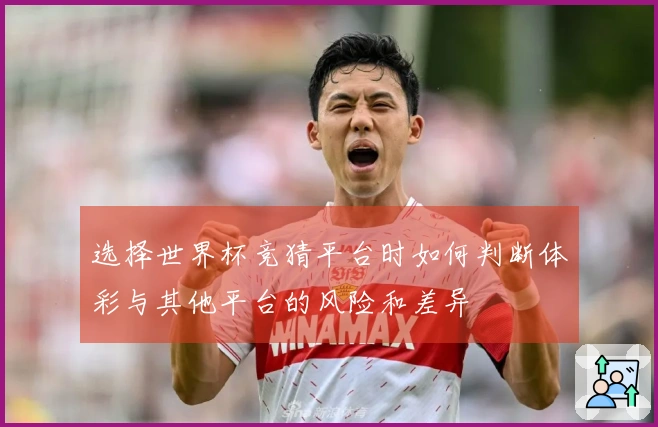 选择世界杯竞猜平台时如何判断体彩与其他平台的风险和差异