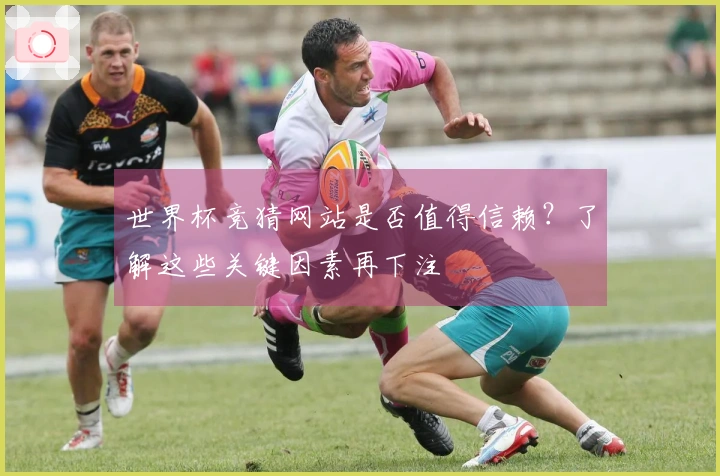 世界杯竞猜网站是否值得信赖？了解这些关键因素再下注