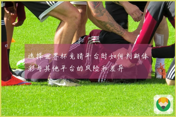 选择世界杯竞猜平台时如何判断体彩与其他平台的风险和差异