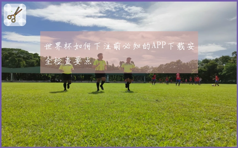 世界杯如何下注前必知的APP下载安全检查要点