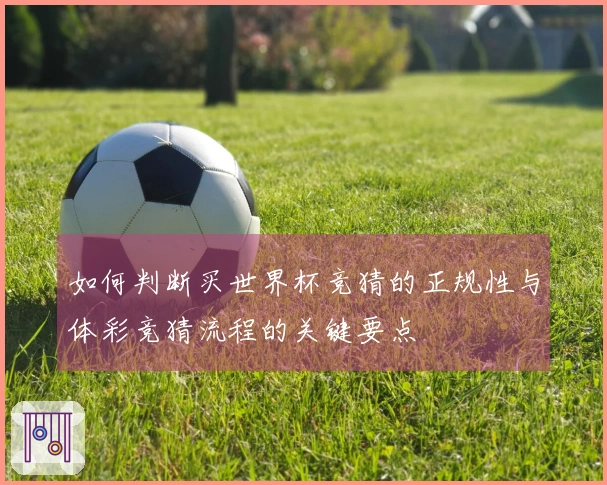 如何判断买世界杯竞猜的正规性与体彩竞猜流程的关键要点