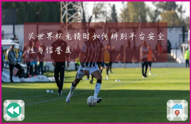 买世界杯竞猜时如何辨别平台安全性与信誉度