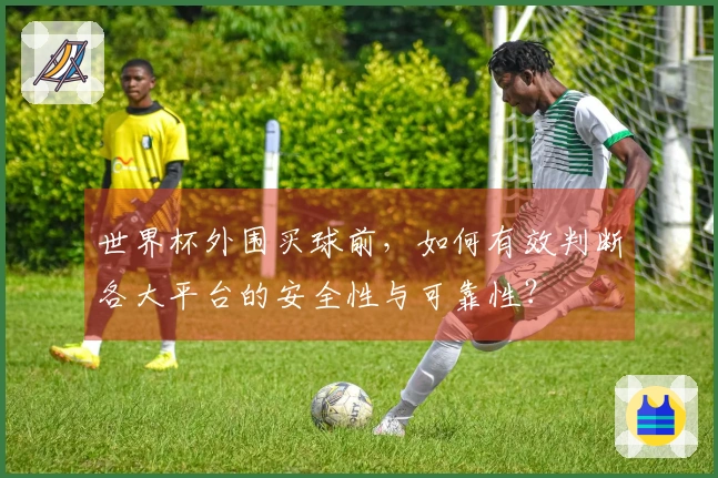 世界杯外围买球前，如何有效判断各大平台的安全性与可靠性？