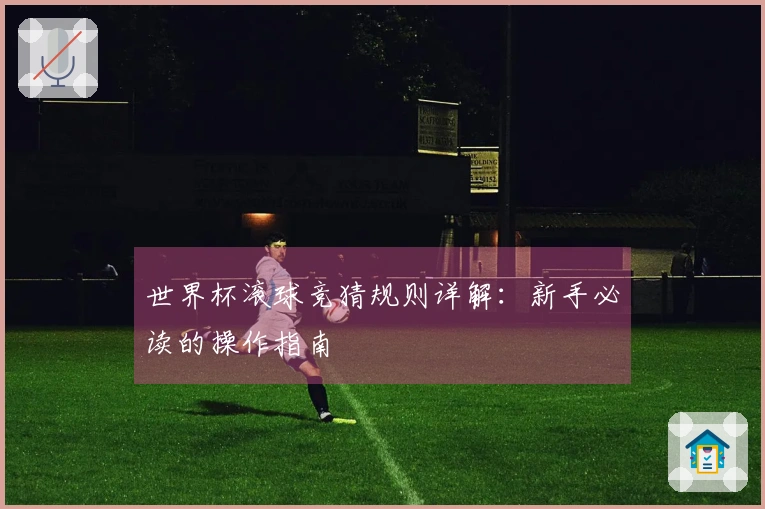 世界杯滚球竞猜规则详解：新手必读的操作指南