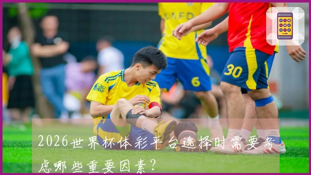 2026世界杯体彩平台选择时需要考虑哪些重要因素？