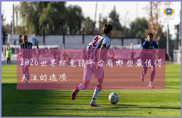 2026世界杯竞猜平台有哪些最值得关注的选项