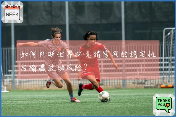 如何判断世界杯竞猜官网的稳定性与输赢波动风险？