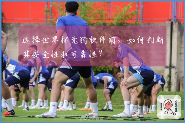 选择世界杯竞猜软件前，如何判断其安全性和可靠性？