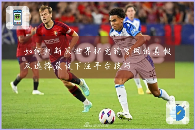 如何判断买世界杯竞猜官网的真假及选择最佳下注平台技巧