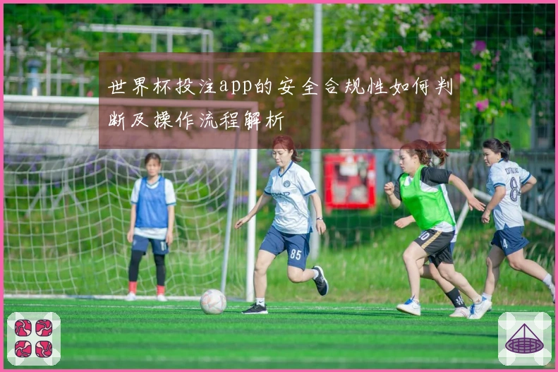 世界杯投注app的安全合规性如何判断及操作流程解析